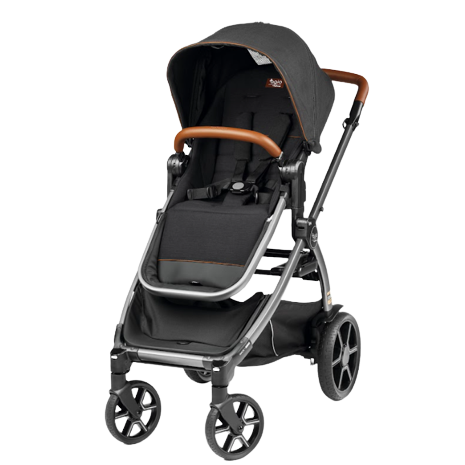 Z4 Full Feature Reversible Stroller Agio Baby